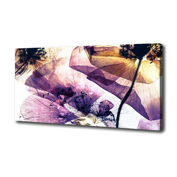 Foto quadro su tela Papaveri secchi