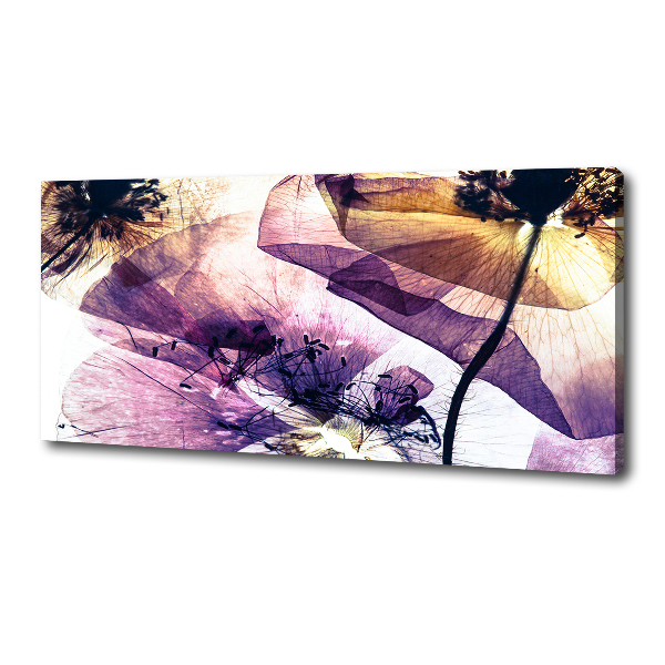 Foto quadro su tela Papaveri secchi