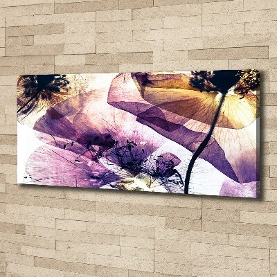 Foto quadro su tela Papaveri secchi