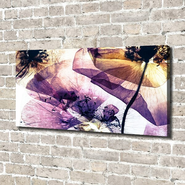 Foto quadro su tela Papaveri secchi