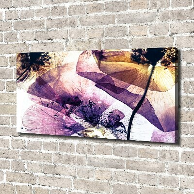 Foto quadro su tela Papaveri secchi