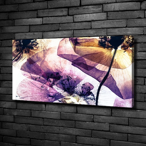 Foto quadro su tela Papaveri secchi