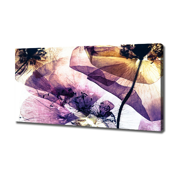 Foto quadro su tela Papaveri secchi