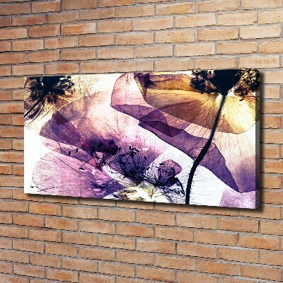 Foto quadro su tela Papaveri secchi