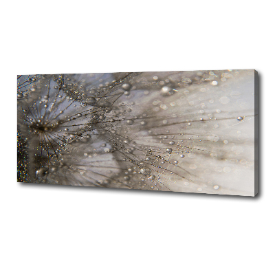 Quadro su tela Semi di tarassaco