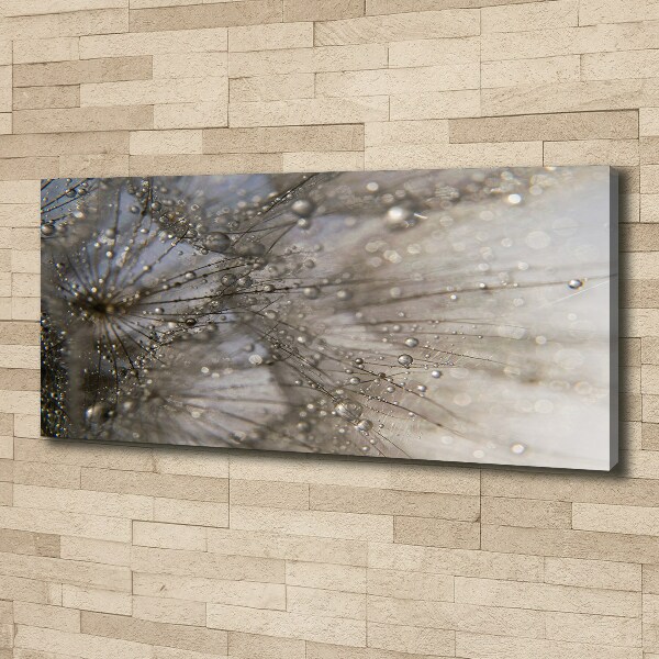 Quadro su tela Semi di tarassaco