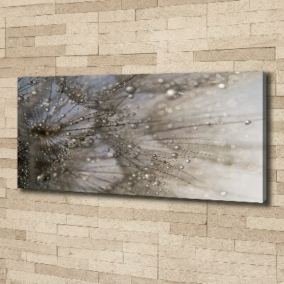 Quadro su tela Semi di tarassaco