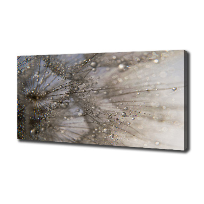 Quadro su tela Semi di tarassaco