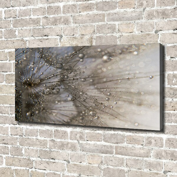 Quadro su tela Semi di tarassaco