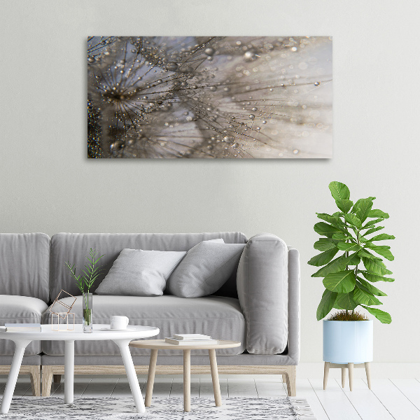 Quadro su tela Semi di tarassaco