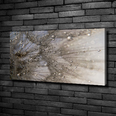 Quadro su tela Semi di tarassaco