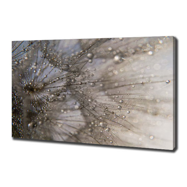 Quadro su tela Semi di tarassaco