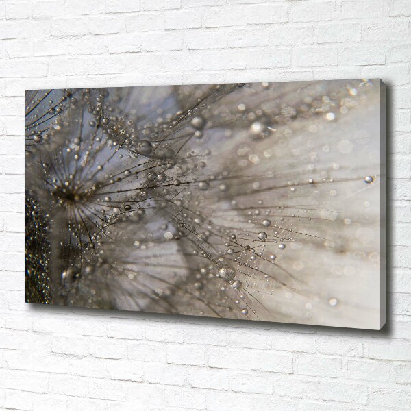 Quadro su tela Semi di tarassaco