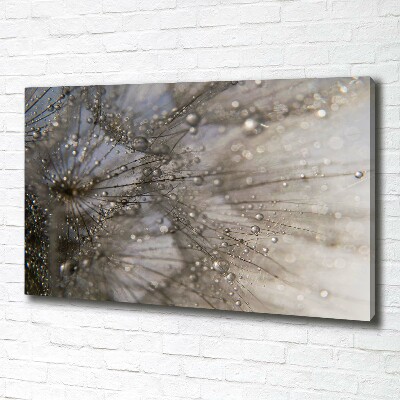 Quadro su tela Semi di tarassaco