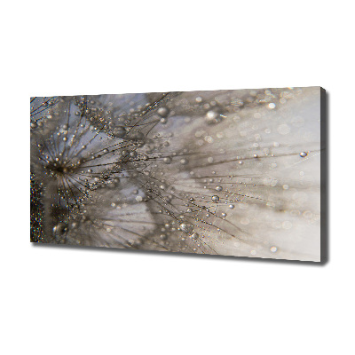 Quadro su tela Semi di tarassaco