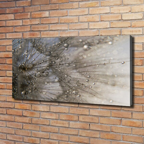 Quadro su tela Semi di tarassaco