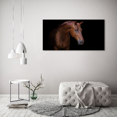 Quadro su tela Cavallo bruno