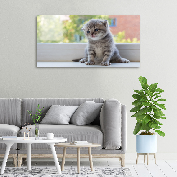 Foto quadro su tela Un gattino vicino alla finestra