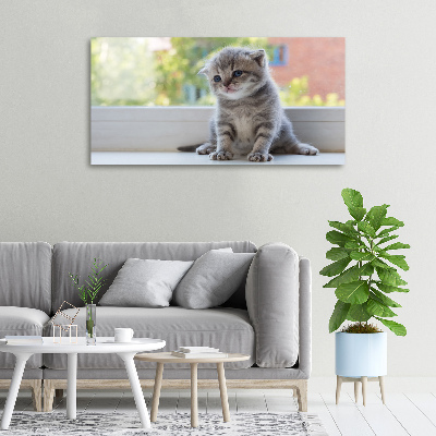 Foto quadro su tela Un gattino vicino alla finestra