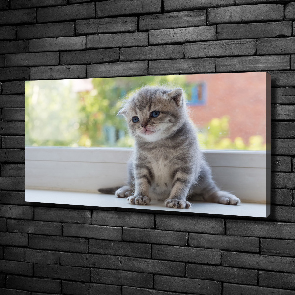 Foto quadro su tela Un gattino vicino alla finestra