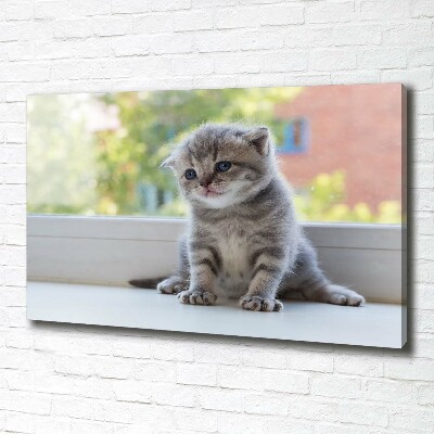 Foto quadro su tela Un gattino vicino alla finestra