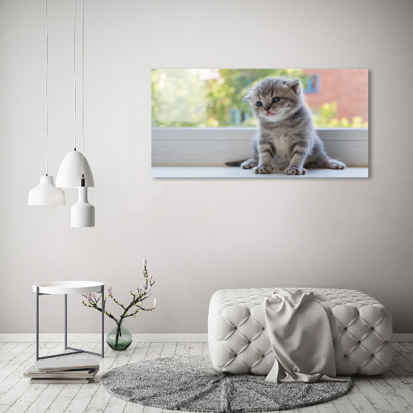 Foto quadro su tela Un gattino vicino alla finestra