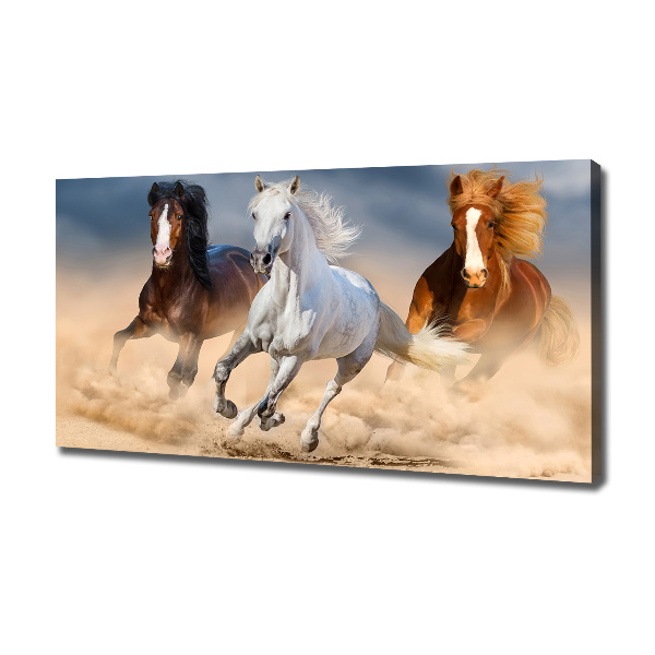 Quadro stampa su tela Cavalli nel deserto