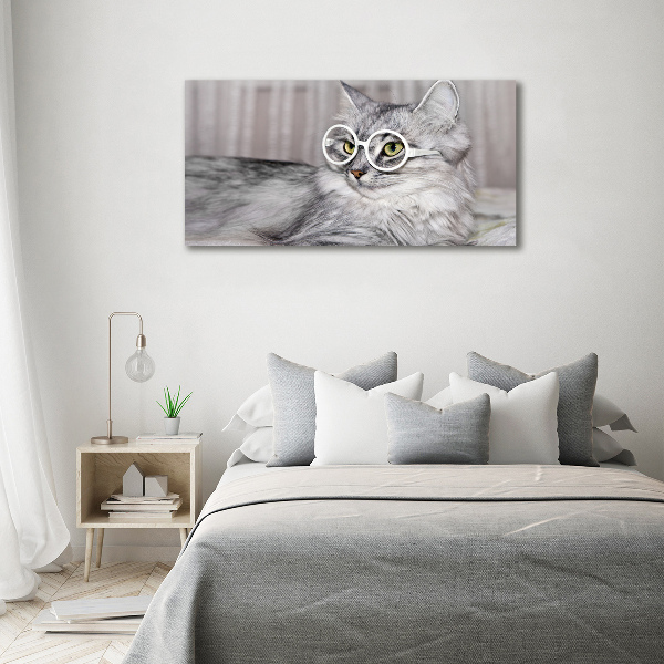 Foto quadro su tela Gatto con gli occhiali
