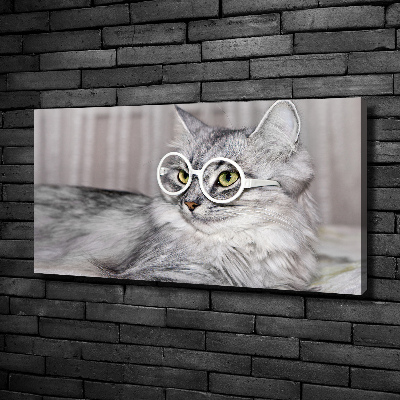 Foto quadro su tela Gatto con gli occhiali