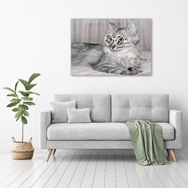 Foto quadro su tela Gatto con gli occhiali