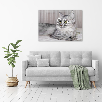 Foto quadro su tela Gatto con gli occhiali