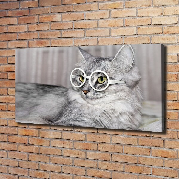 Foto quadro su tela Gatto con gli occhiali