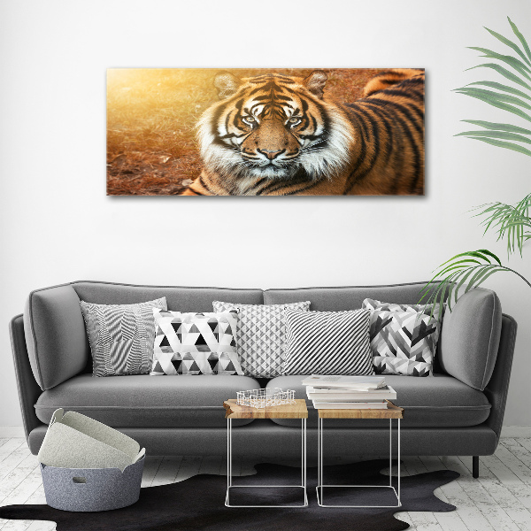 Quadro stampa su tela Tigre del Bengala