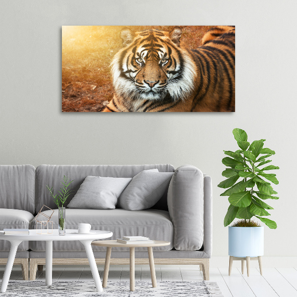 Quadro stampa su tela Tigre del Bengala
