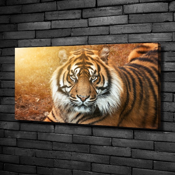 Quadro stampa su tela Tigre del Bengala