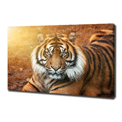 Quadro stampa su tela Tigre del Bengala