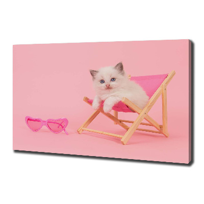 Quadro su tela Gatto su una sdraio