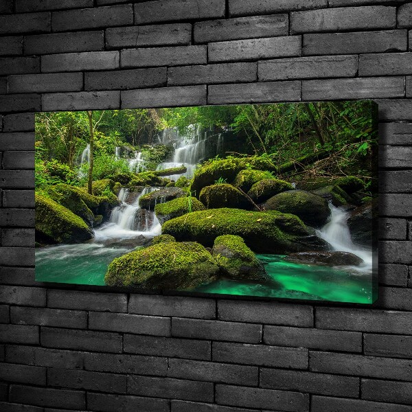 Quadro stampa su tela Cascata nella foresta