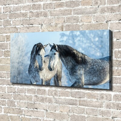 Foto quadro su tela Cavalli grigi in inverno