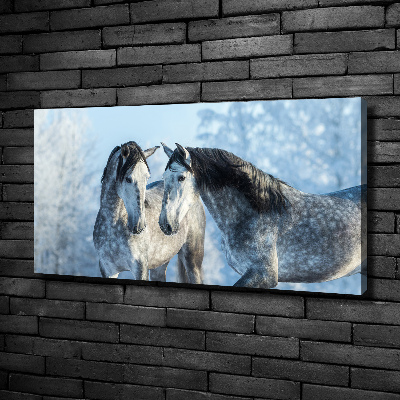 Foto quadro su tela Cavalli grigi in inverno
