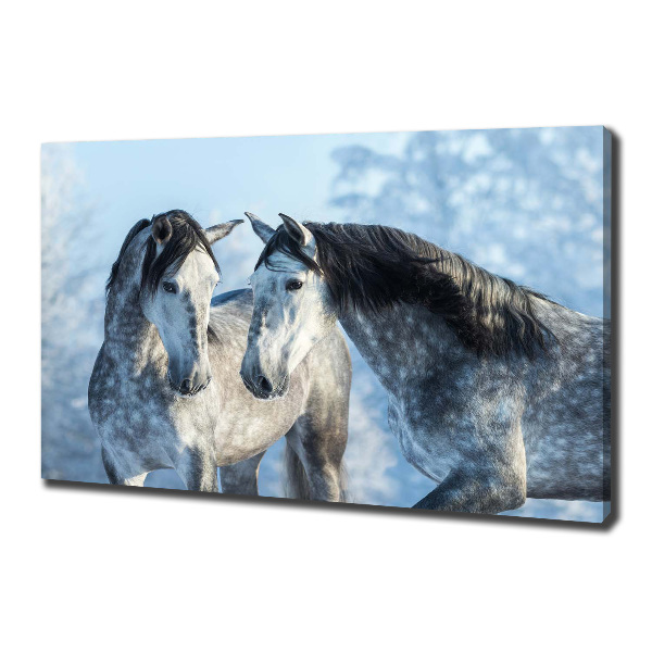 Foto quadro su tela Cavalli grigi in inverno