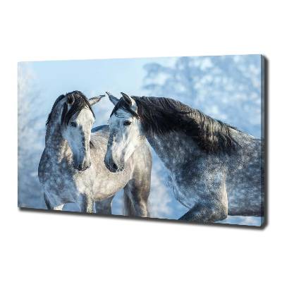 Foto quadro su tela Cavalli grigi in inverno
