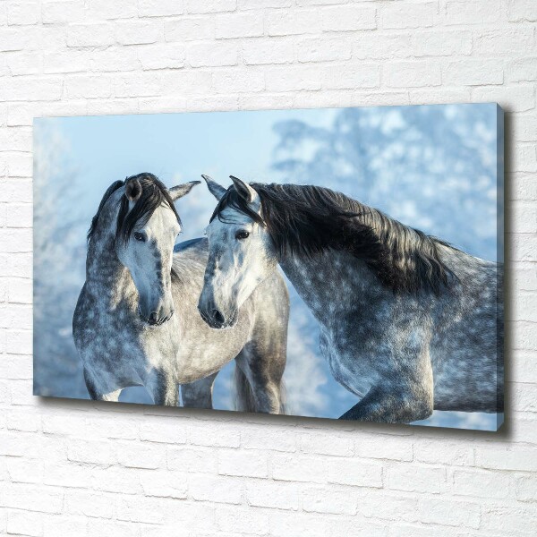 Foto quadro su tela Cavalli grigi in inverno