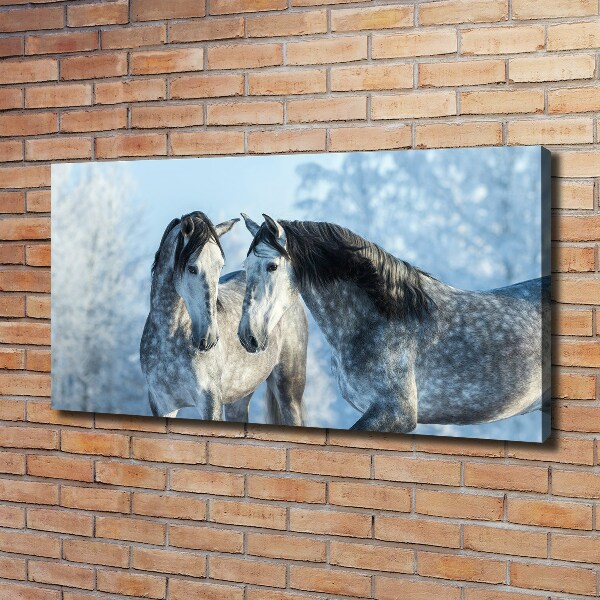 Foto quadro su tela Cavalli grigi in inverno