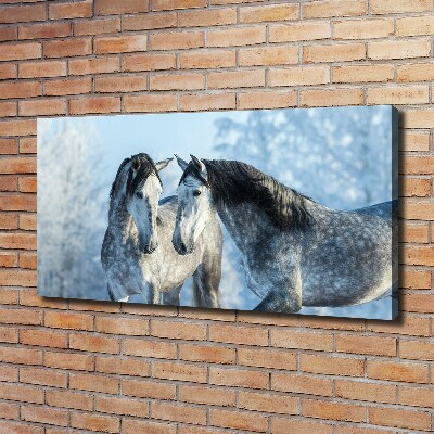 Foto quadro su tela Cavalli grigi in inverno