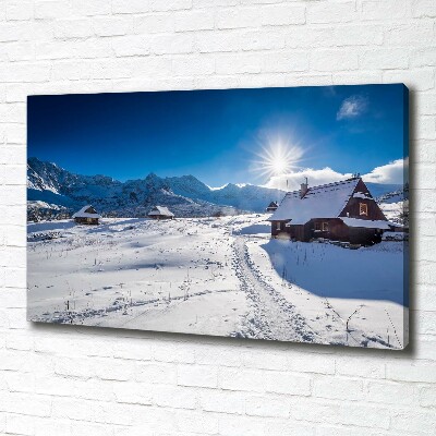 Foto quadro su tela Pascoli dei Monti Tatra