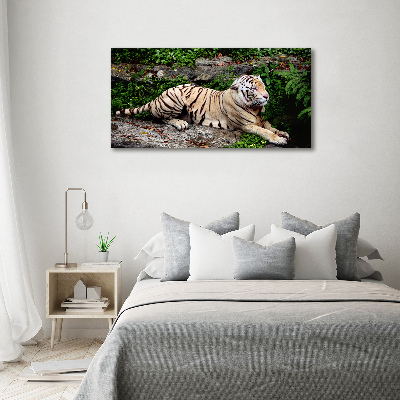 Quadro su tela Tigre su una roccia