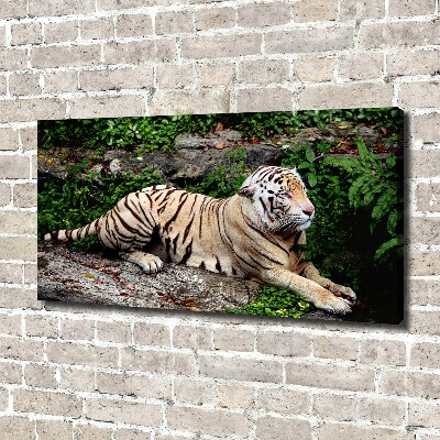Quadro su tela Tigre su una roccia