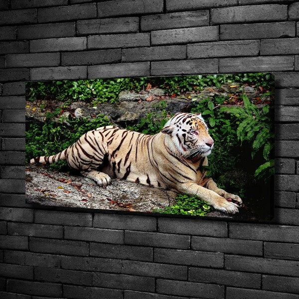 Quadro su tela Tigre su una roccia