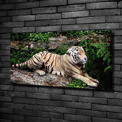 Quadro su tela Tigre su una roccia